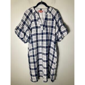 THML Blue and White Check Dress Sz S